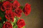 Алые розы
Получен подарок 21.11.2022, 19:49 от Dalida
Сообщение: для настроения)